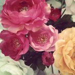 Connie Lemon - @fredscreeseen - Instagram