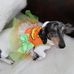 Connie Lenhart - Facebook