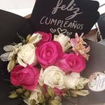 Connie Lerma - @anadenissedelgadolopez - Instagram