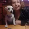conniegoltzlerner2 - @conniegoltzlerner2 - TikTok