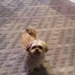Connie LeRoy - Facebook
