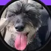 Lesley Connie - @lesley.connie3 - TikTok