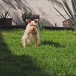 Connie Leslie - @connieleslie66 - Instagram