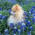 Connie Lesperance - @connie_lesperance - Instagram