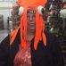 Connie Lesperance - Facebook