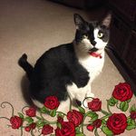 Connie Levasseur - @connie_848 - Instagram