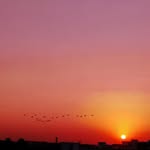 Connie Leverette - @espnestricot - Instagram