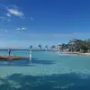 Connie liang - @connie.liang - TikTok