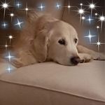 Connie Lightheart - @connielightheart - Instagram