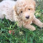 Connie Liles Hamel - @conhamel - Instagram