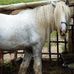 Connie Lilley - Facebook