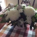 Connie Lilly - @conlilly206 - Instagram