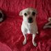 Connie Lilly - Facebook