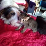 Connie Lilly - @norcon80 - Instagram
