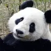 Connie Limon - @connie.limon2 - TikTok