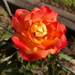 Connie Linder - Facebook