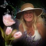 Connie Linthicum - @connielinton - Instagram