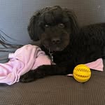 Connie Nano Lipari - @nanolipari - Instagram