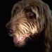Connie Litz Ehrlich - Facebook