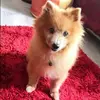 Connie Liu - @connie.liu14 - TikTok