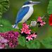 Connie Llamas - Facebook