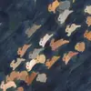 Connie Lo - @conie99 - TikTok