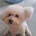 Connie Lo - Facebook