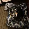 connieyostlocke - @connieyostlocke - TikTok
