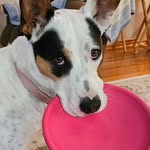 Connie Lockhart - @connie.828 - Instagram