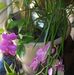 Connie Lockhart - Facebook