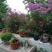 Connie Lodge - Facebook
