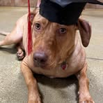 Connie Loftin Dowd - Facebook