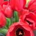 Connie Logue - Facebook