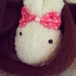 Connie Ling - @connieluff - Instagram