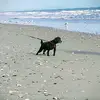 connie lupton - @connie.lupton5 - TikTok
