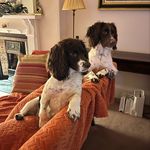 Connie Mackay - @jnrmackay - Instagram