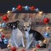Connie Maness - Facebook
