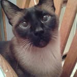 Connie Marshall - @connie.marshall.357 - Instagram