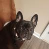 Connie Masters - @connie.masters4 - TikTok