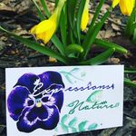 Connie Maxwell - @expressions.of_nature - Instagram
