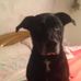 Connie Maynard - Facebook