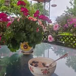 Connie McAfee - @connie_mcafee11 - Instagram