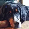 Connie Simpson McAfee - @connie.simpson.mc - TikTok
