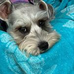 Connie Chappell McBride - @okconi - Instagram