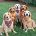 Connie McCabe - Facebook