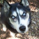 Connie McCall - @connie.mccall.543 - Instagram