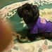 Connie Mccall - Facebook