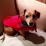 Connie McCann - @mccann678 - Instagram
