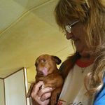 Connie Mccarter - @connie.mccarter.37 - Instagram