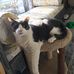 Connie McCain - Facebook